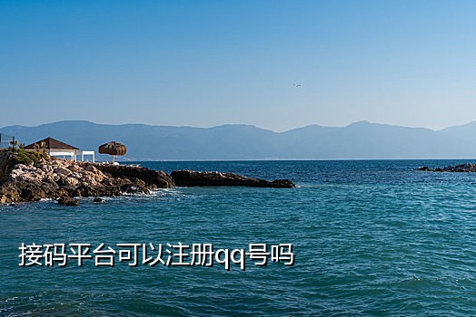 抖音国际版接码