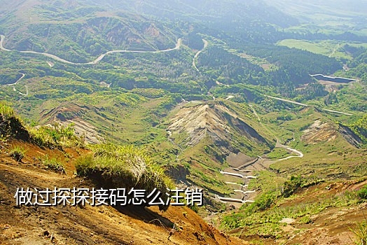 电话接不到短信验证码