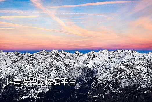 第三方手机接码平台哪个好