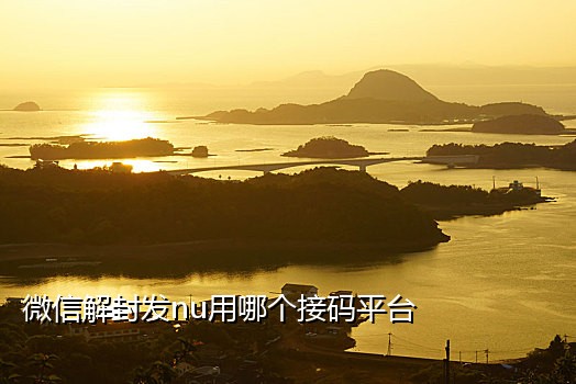 蝙蝠侠接码