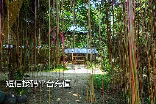 2022最新免费短信接码