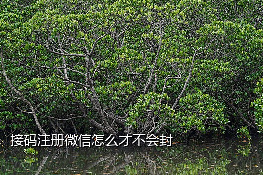 ws怎么短信接码