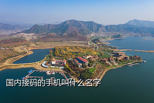 2020手机接码