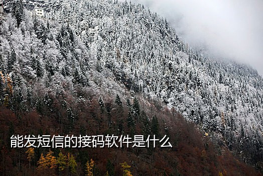 signal接不到验证码
