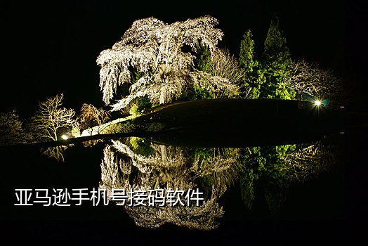 qq更换绑定手机号接不到验证码