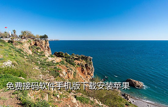 ofo手机号接不了验证码