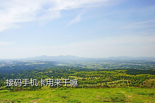 chat gpt注册接码