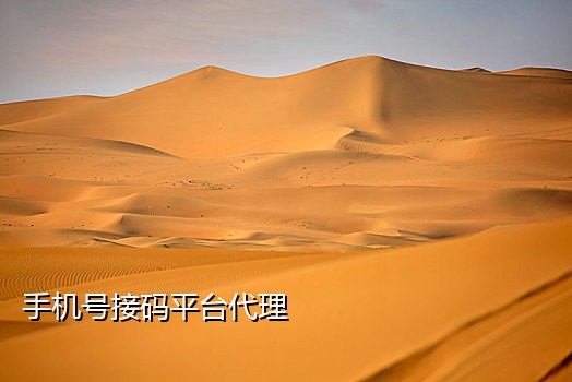 106短信接码软件