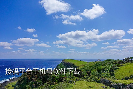 最新接码短信平台手机版