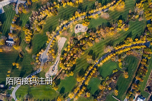 最新QQ接码软件