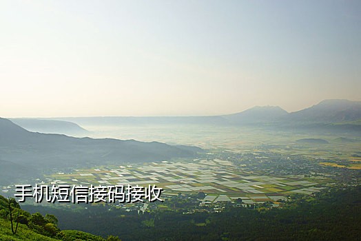 注册新探探免费接码平台