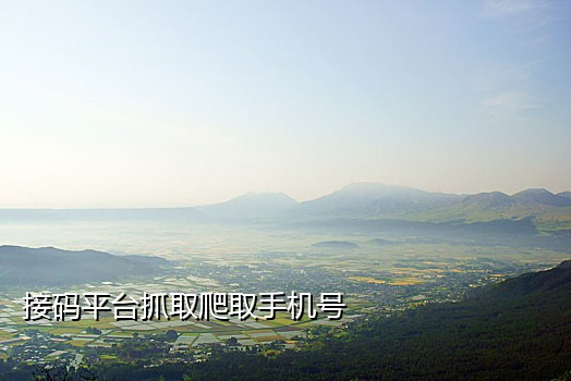注册微信接码在线网站