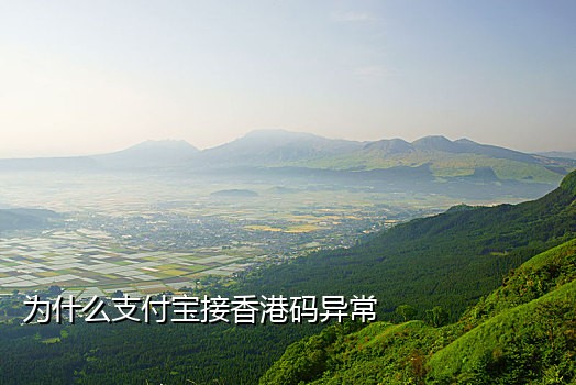 支付宝里的核酸检码怎样接图