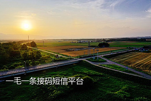 支持支付宝接码平台