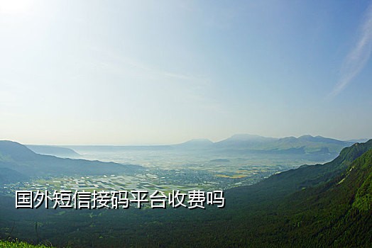 最新的在线短信接码