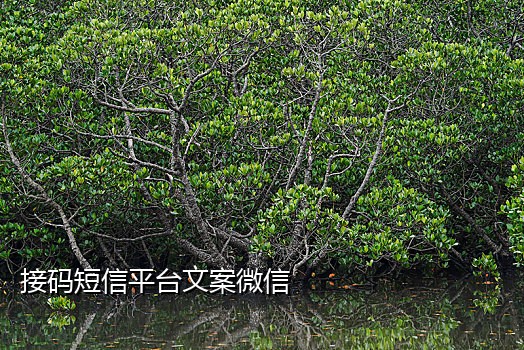怎么给手机接扫码枪
