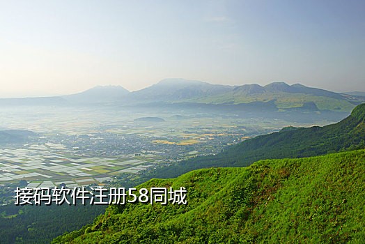 租赁长期接码手机号网站