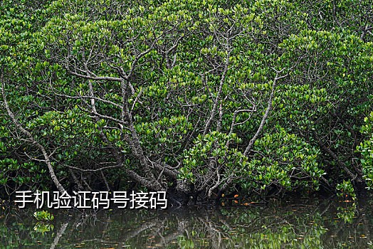 云短信在线接码平台官网