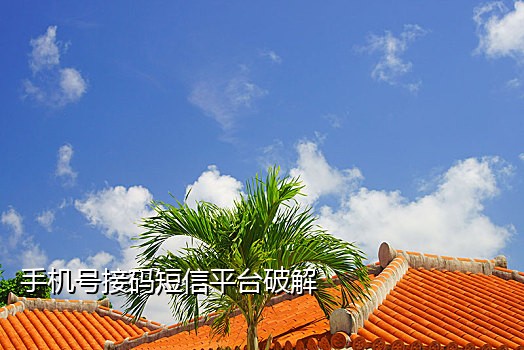 已实名认证手机号接码平台