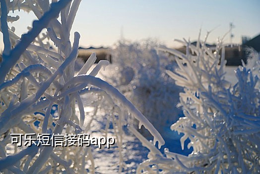 小红书实卡接码