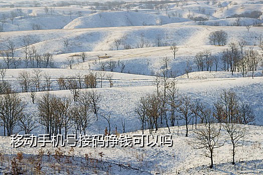 小红书接码小号是什么