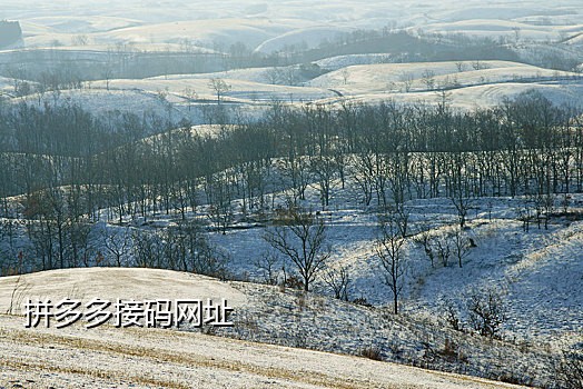 小红书接码号