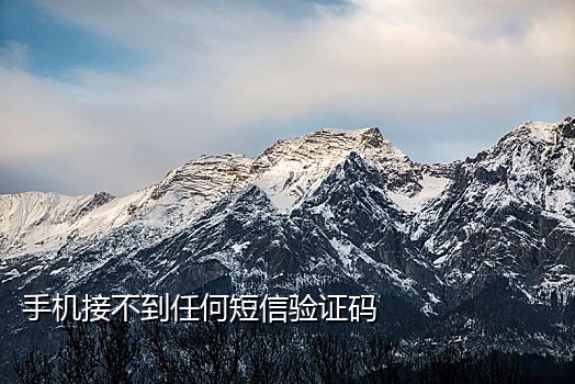 闲鱼短信接码
