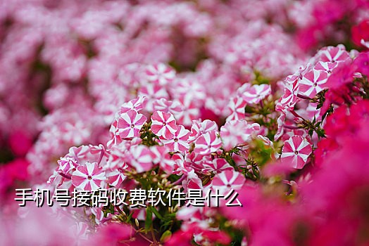 微信接码是犯法的吗知乎