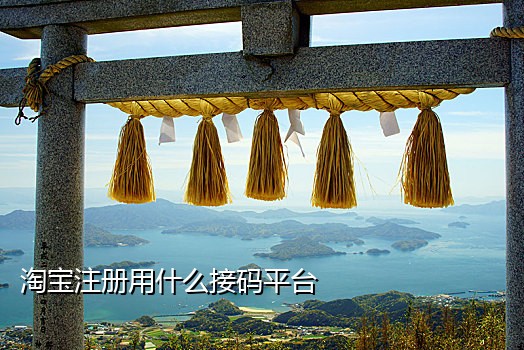 注册qq号接码是什么项目