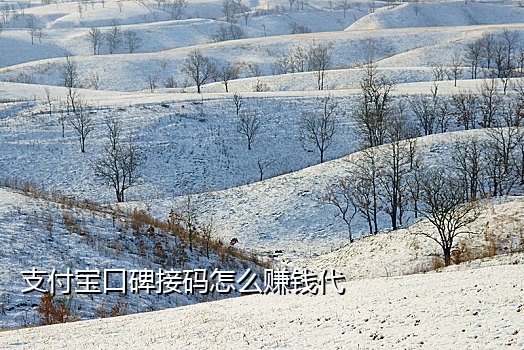 网上手机号接验证码