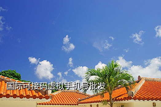 同一手机接码怎么操作