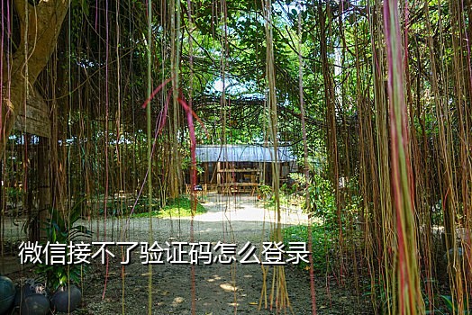 淘宝网手机接验证码