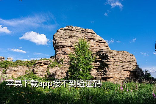 淘宝号手机号接码