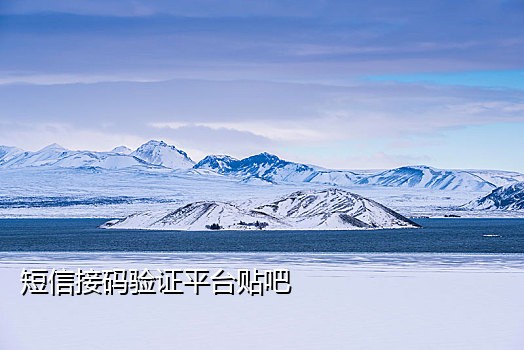 中国代接短信验证码软件