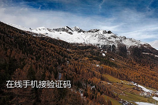 手机卡接码风险