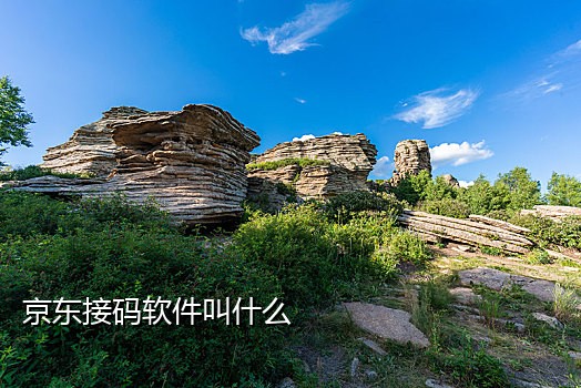 手机接验证码过于频繁