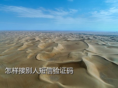手机接码软件哪个好用