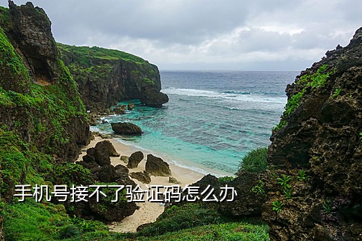 手机接码平台源码