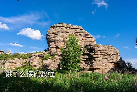 手机接码平台是什么意思呀