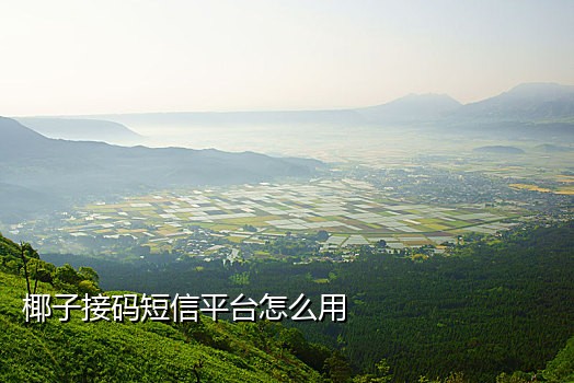 手机接码app2019