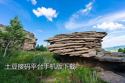 手机接几千条验证码短信