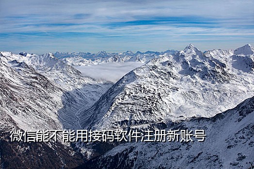 手机号实码接码器