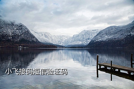 手机号接验证码注册