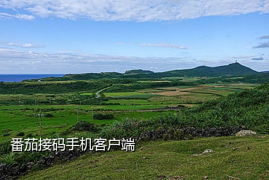 手机短信接码犯罪