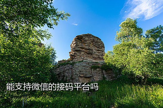 支付宝接码兼职怎么做推广