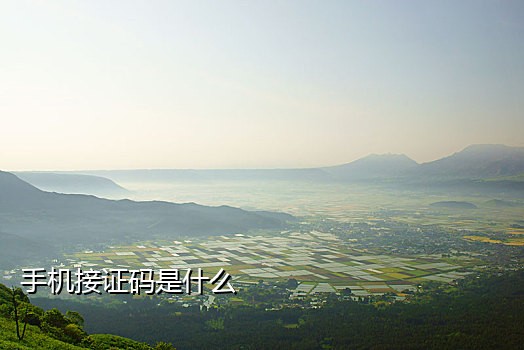 支付宝接码代付