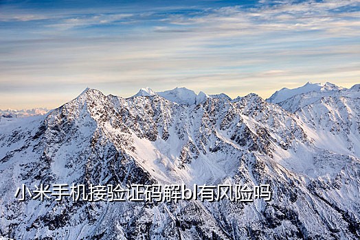 苹果接码app下载安装官网