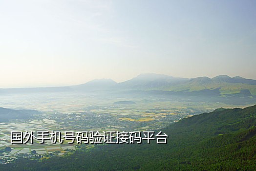 真实手机号接验证码平台
