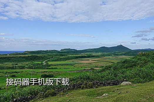 拼多多接入码在哪里找