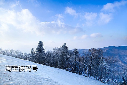 能接微信吗的接码平台